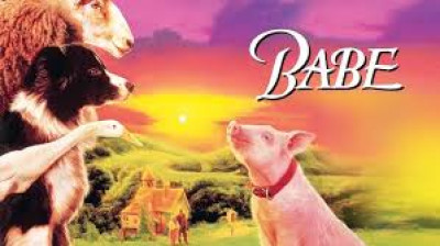Babe 1 - le cochon devenu berger (1995)