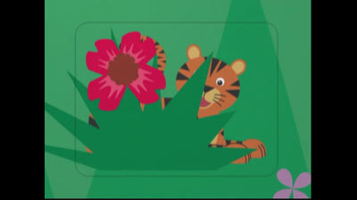 Baby Noah UK 2005 DVD