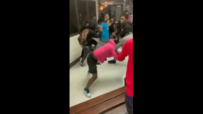 School Fight Gangbaning LOL